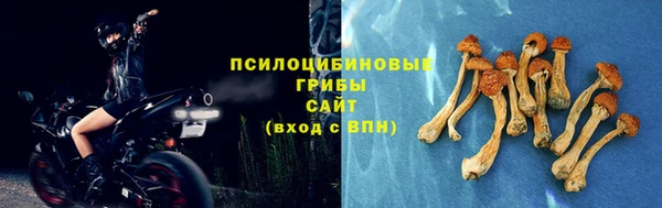 соль курить ск Алзамай