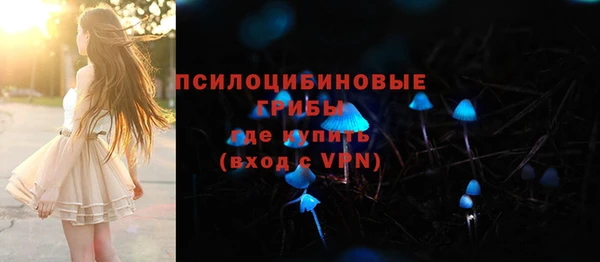 соль курить ск Алзамай