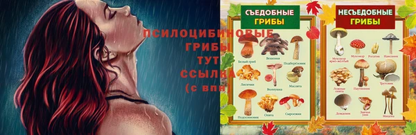 трава Алексеевка