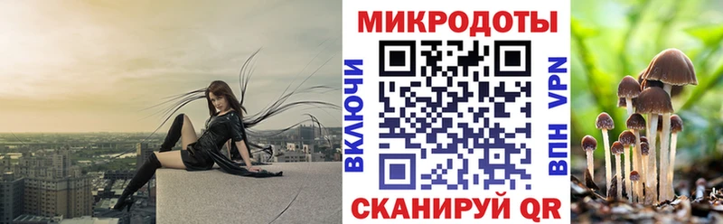 Псилоцибиновые грибы Psilocybe  Байкальск 