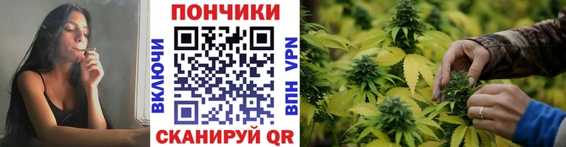 Бошки марихуана марихуана  Байкальск 